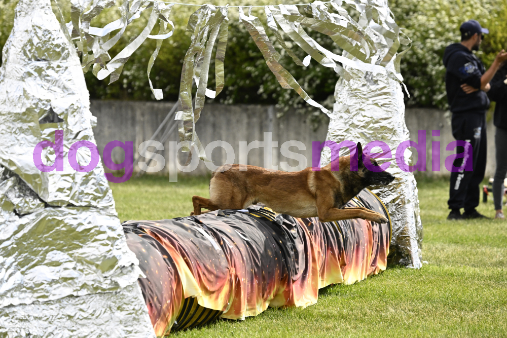 Preview _JRI_20598.jpg